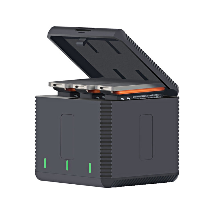 RUIGPRO USB Triple Batteries Housing Charger Box with LED Indicator Light for DJI OSMO Action 1 - Cable & Charger by PMC TechLife | Online Shopping South Africa | PMC TechLife | Buy Now Pay Later Mobicred