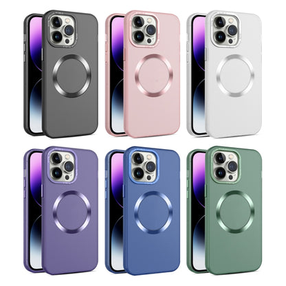 For iPhone 12 / 12 Pro CD Texture MagSafe Frosted Translucent Phone Case(Pink) - iPhone 12 / 12 Pro Cases by PMC Jewellery | Online Shopping South Africa | PMC Jewellery