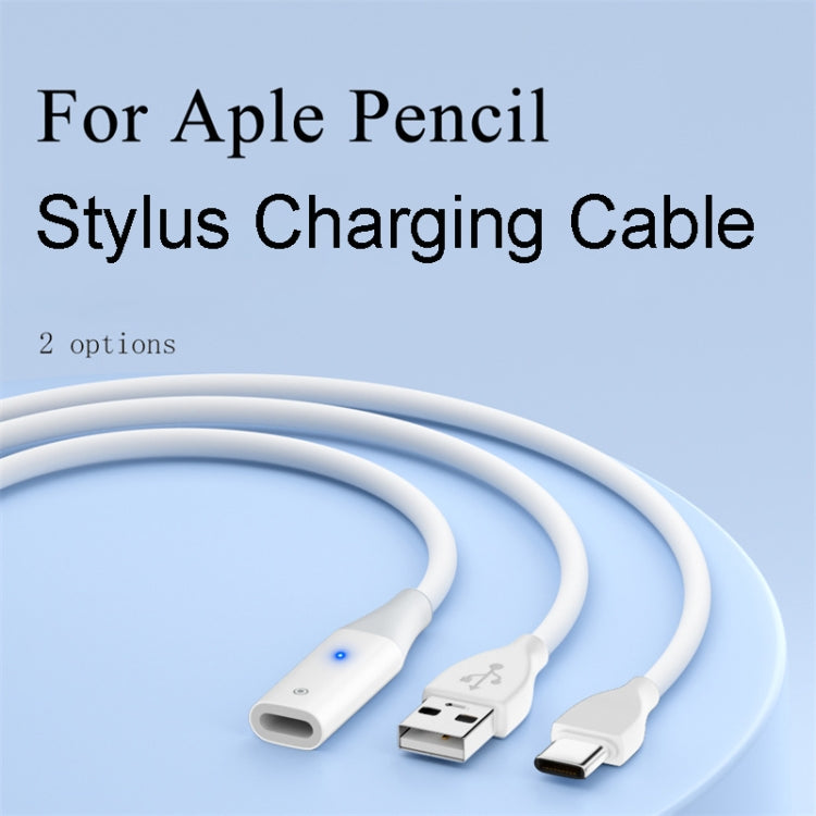 For Apple Pencil 1 USB-C / Type-C to 8 Pin Stylus Charging Cable with Indicator Light, Length:0.5m(White) - Pencil Accessories by PMC Jewellery | Online Shopping South Africa | PMC Jewellery | Buy Now Pay Later Mobicred