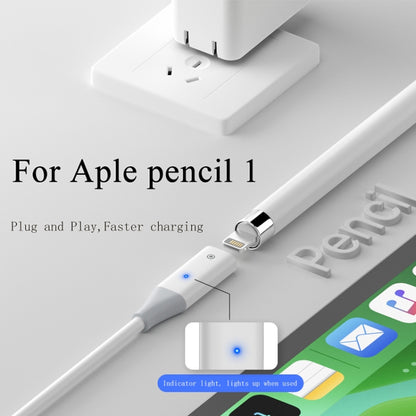 For Apple Pencil 1 USB-C / Type-C to 8 Pin Stylus Charging Cable with Indicator Light, Length:0.5m(White) - Pencil Accessories by PMC Jewellery | Online Shopping South Africa | PMC Jewellery | Buy Now Pay Later Mobicred