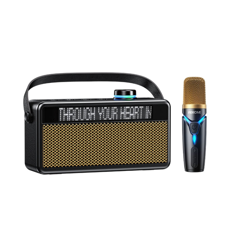 WK Beluga D17 Lyrics Bluetooth Speaker(Black) - free shipping - PMC Jewellery - Order now!