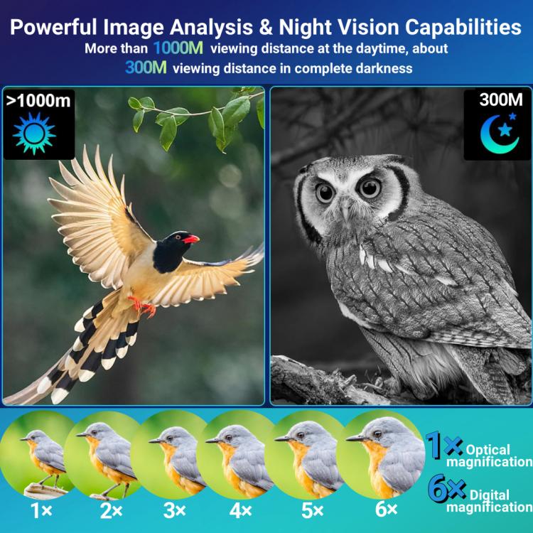 EDA0077377_4.jpg@98b5ec788bd8f78d2f22361796e78489