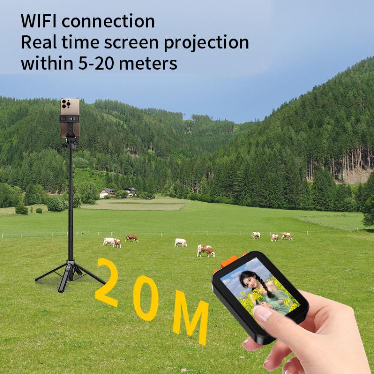 EDA0081590_B11.jpg@afe6ab7e62cbd2025082275ad543cfc8