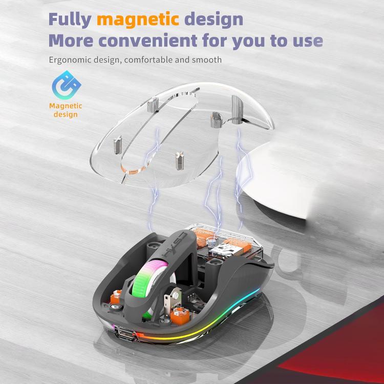 EDA0081625_B2.jpg@45fa68dd0c3976ad89f9940586cea984