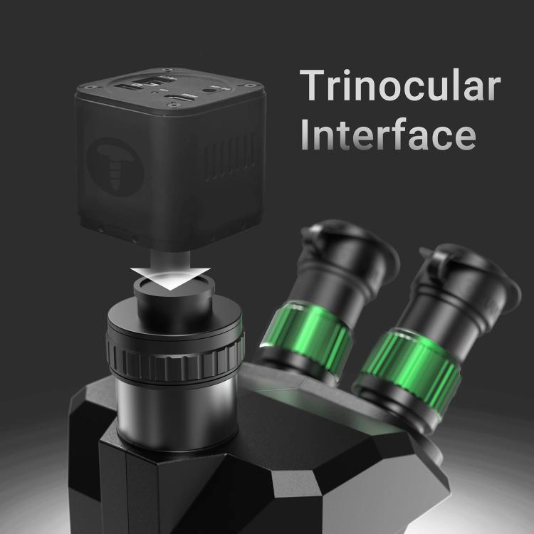 EDA0084308_2.jpg@ef0d921f3f0774adf4fb22686b08e79a