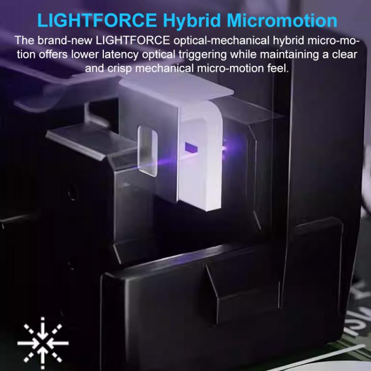 EDA0084575_B2.jpg@aad5cd3d398d41dedbaed43f761e65c5