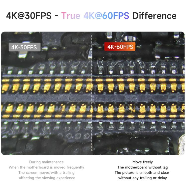 EDA0085175_B3.jpg@bed8c0108d9a662b8fdc071071ff8d46