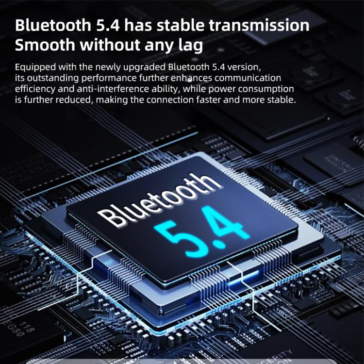 EDA0085669_B3.jpg@57c7181176a5466188b029ba7676ff7d