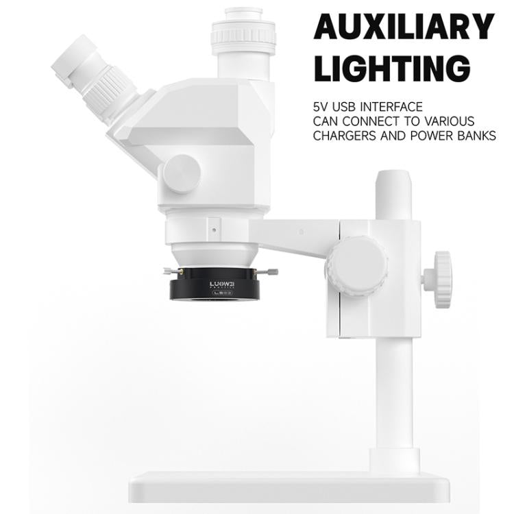 EDA0085932_3.jpg@27197a6df7de5fb349f66590382ed6ab