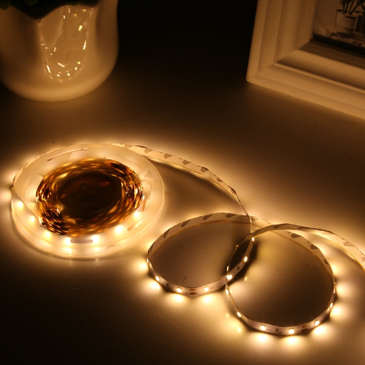 Bare Board 2835 SMD Dimmable White Light / Warm Light LED Rope Light, 60 LED/m, Length: 5m, 12V 2A 100-240V(US Plug) - Bare Board Light by PMC TechLife | Online Shopping South Africa | PMC TechLife | Buy Now Pay Later Mobicred