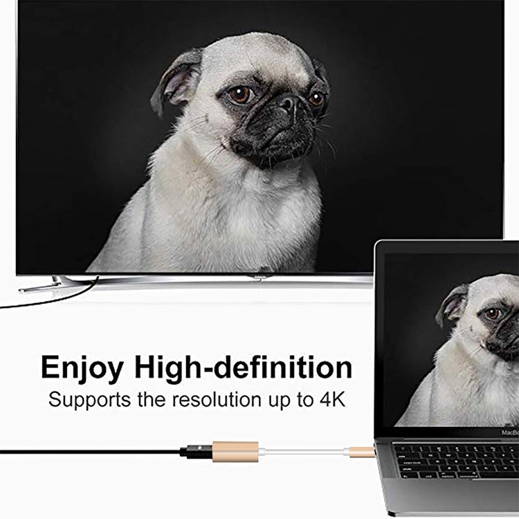 USB-C / Type-C 3.1 Male to Mini DP Female HD Converter, Length: 12cm(Silver) - Cable & Adapter by PMC Jewellery | Online Shopping South Africa | PMC Jewellery | Buy Now Pay Later Mobicred