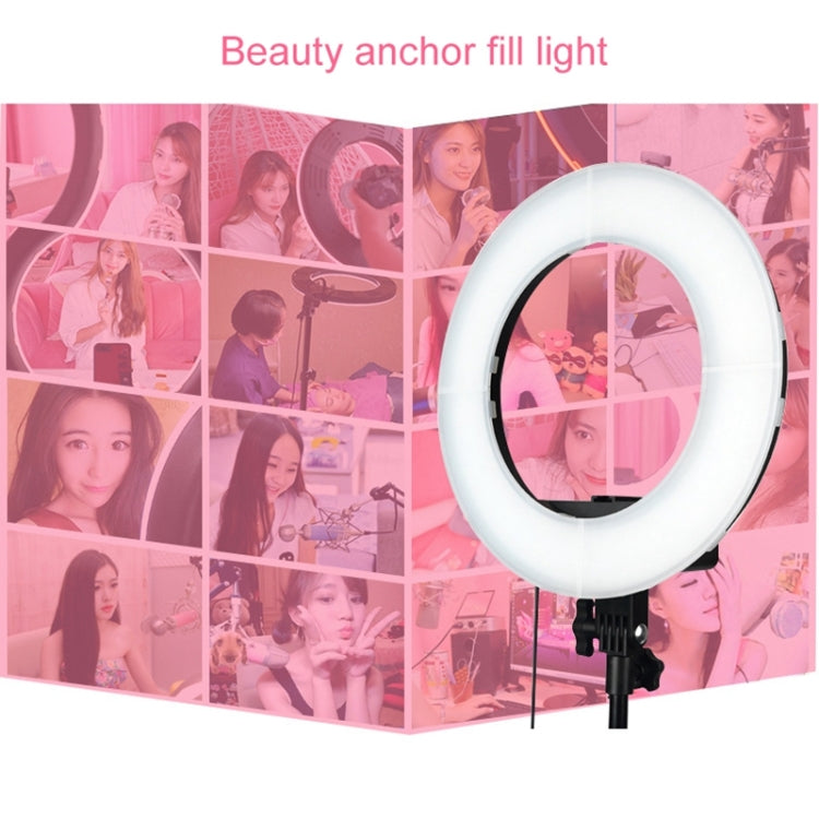 12 Inch Anchor Photography Self-timer LED Ring Fill-in Light - free shipping - PMC TechLife - Order now!
