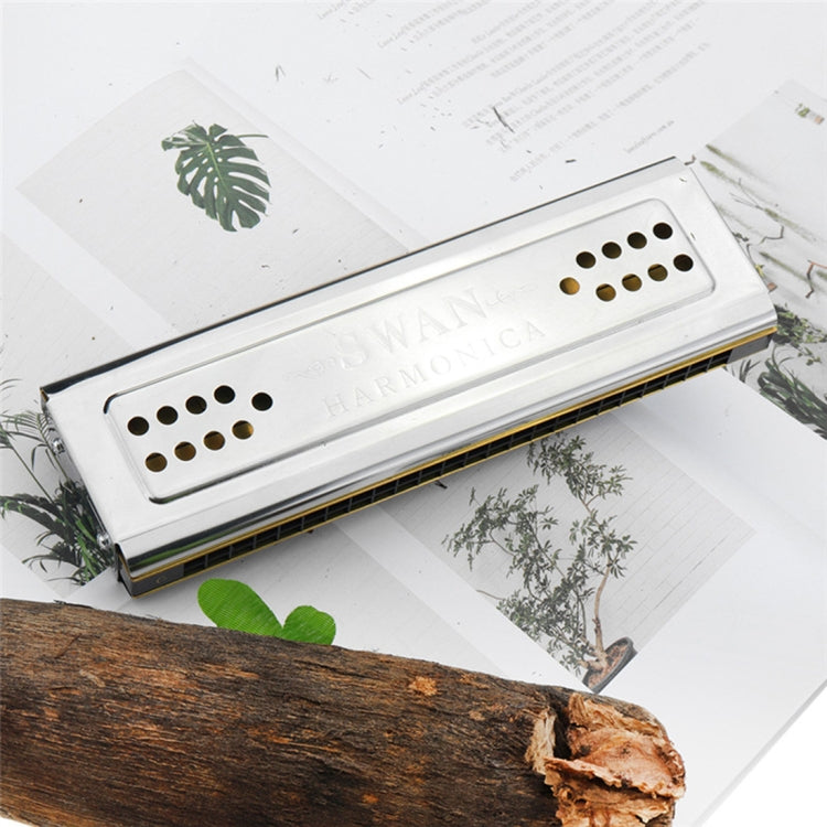 Swan SW24-12A 24-holes Double-sided Harmonica Beginner Polyphony Box Adult Children Beginners Performance - Wind Instruments Accessories by PMC Jewellery | Online Shopping South Africa | PMC Jewellery