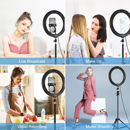 PULUZ 10.2 inch 26cm USB 3 Modes Dimmable LED Ring Vlogging Selfie Beauty  Photography Video Lights with Tripod Ball Head & Phone Clamp(Black) - Ring Light by PULUZ | Online Shopping South Africa | PMC Jewellery | Buy Now Pay Later Mobicred