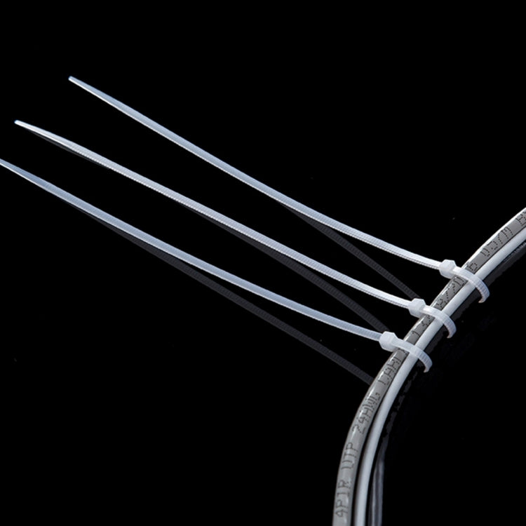 1000pcs Self-Locking Nylon Cable Wire Zip Ties(Size: 3 x 100mm) - Booster Cable & Clip by PMC TechLife | Online Shopping South Africa | PMC TechLife | Buy Now Pay Later Mobicred