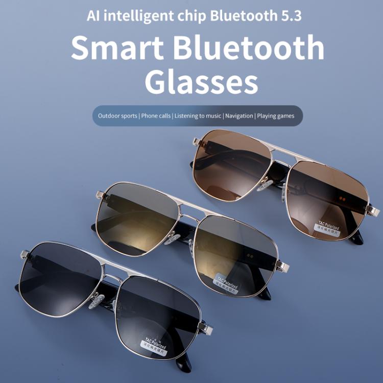 GS02 Smart Glasses, Support Voice Assistant / Bluetooth Call / Remote Control Photography(Black) - free shipping - PMC TechLife - Order now!