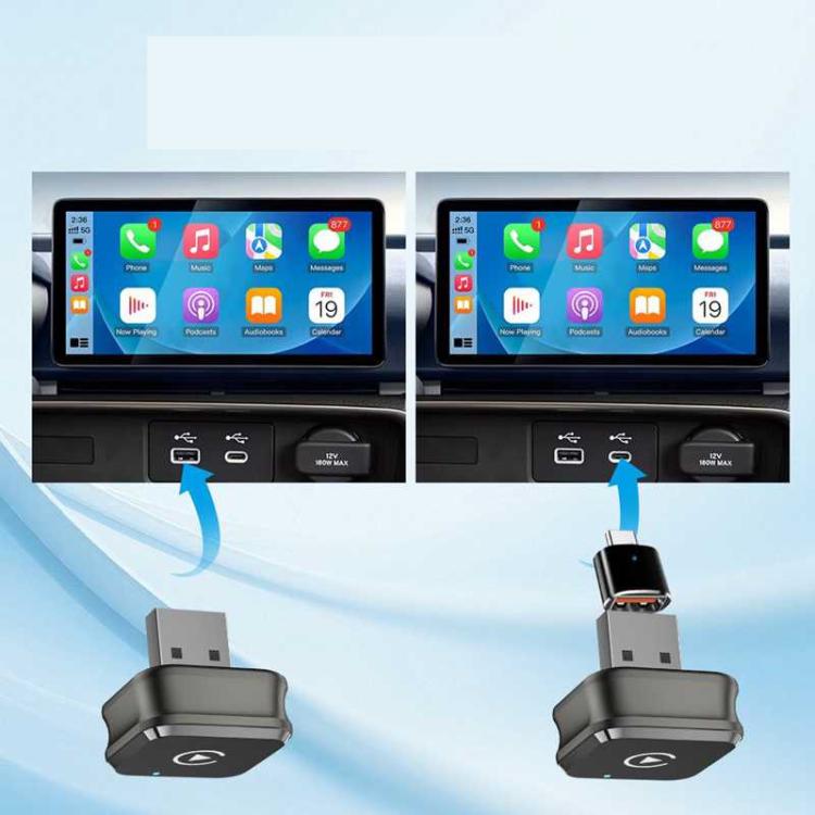 SYA0030853_4.jpg@9c824921f9161a186ac0bf9f4ce48d99