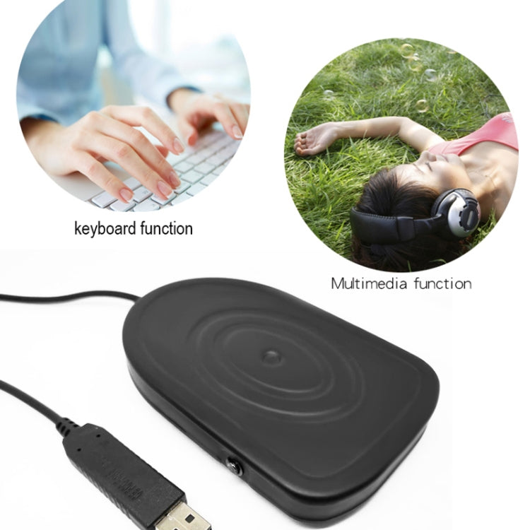 Pcsensor USB Foot Pedal Control Switch Keyboard Adapter For Computer, Model:FS2019 - free shipping - PMC Jewellery - Order now!