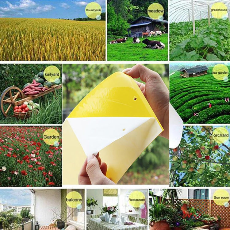 Double-sided Stick Insect Board Yellow Board Melon Fruit Fly Trap Board - Traps by PMC TechLife | Online Shopping South Africa | PMC TechLife | Buy Now Pay Later Mobicred