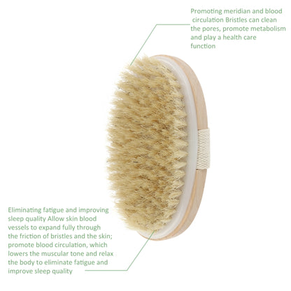 Soft Natural Bristle SPA Brush Without Handle - Bath Brushes & Sponges by PMC Jewellery | Online Shopping South Africa | PMC Jewellery