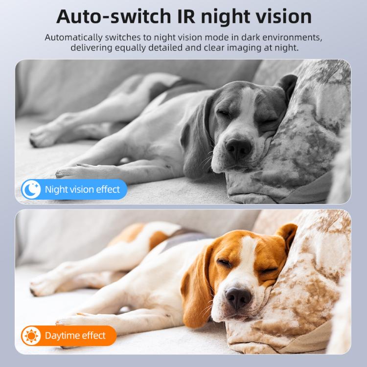 TBD05957214_B3.jpg@88231ed3905a6c473786f409cfc12ed5