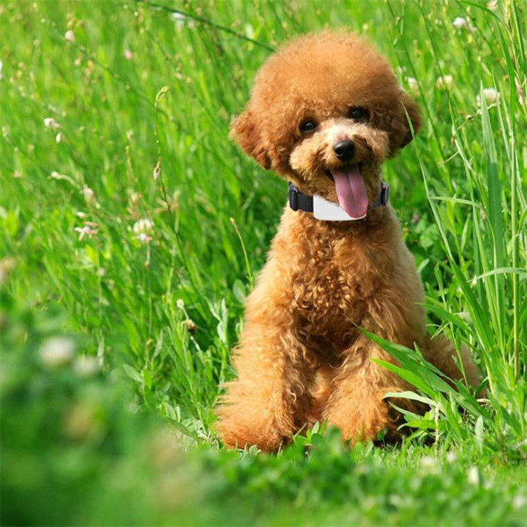 TK911 2G Pet Waterproof GPS Tracker - Pet Tracker by PMC TechLife | Online Shopping South Africa | PMC TechLife | Buy Now Pay Later Mobicred