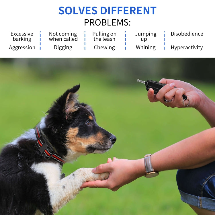 Electronic Dog Trainer Rechargeable Pet Remote Control Bark Stopper, Specification: 1 Drag 2 - Training Aids by PMC TechLife | Online Shopping South Africa | PMC TechLife | Buy Now Pay Later Mobicred