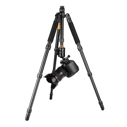 QingZhuangShiDai Q666 Portable Travel SLR Camera Aluminum Magnesium Alloy Tripod(Black) - Tripods by QingZhuangShiDai | Online Shopping South Africa | PMC Jewellery | Buy Now Pay Later Mobicred