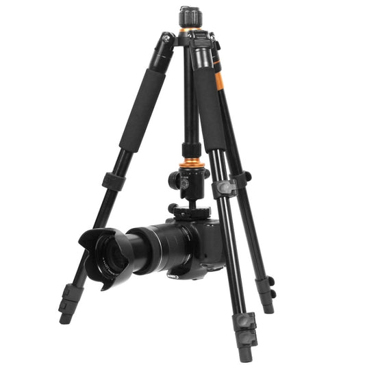 QingZhuangShiDai Q570 Multifunctional Digital SLR Camera Portable Tripod(Black) - Tripods by QingZhuangShiDai | Online Shopping South Africa | PMC Jewellery | Buy Now Pay Later Mobicred