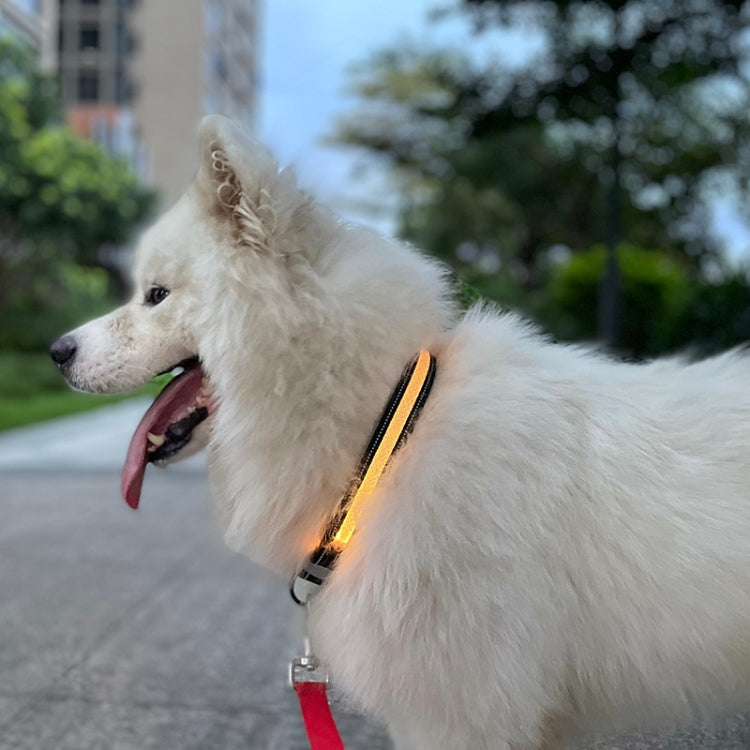 LED Rechargeable Wear-resistant and Waterproof Pet Lighting Collar, Size: M(Black) - Collars by PMC TechLife | Online Shopping South Africa | PMC TechLife | Buy Now Pay Later Mobicred