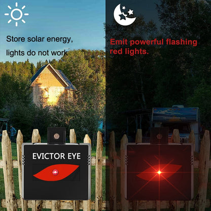 SK191 1pc Solar Farm Wild Eagle Eye Animal Repeller - Outdoor Insect Repellent by PMC Jewellery | Online Shopping South Africa | PMC Jewellery | Buy Now Pay Later Mobicred