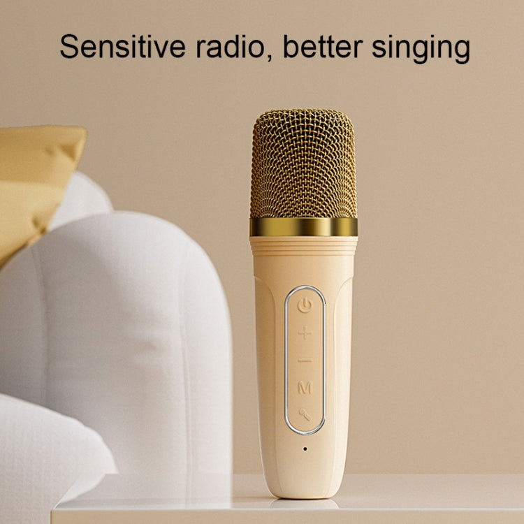 Havit P1 Portable Singing Home Wireless Bluetooth Speaker Microphone Set, Style: Dual-microphone - free shipping - PMC TechLife - Order now!