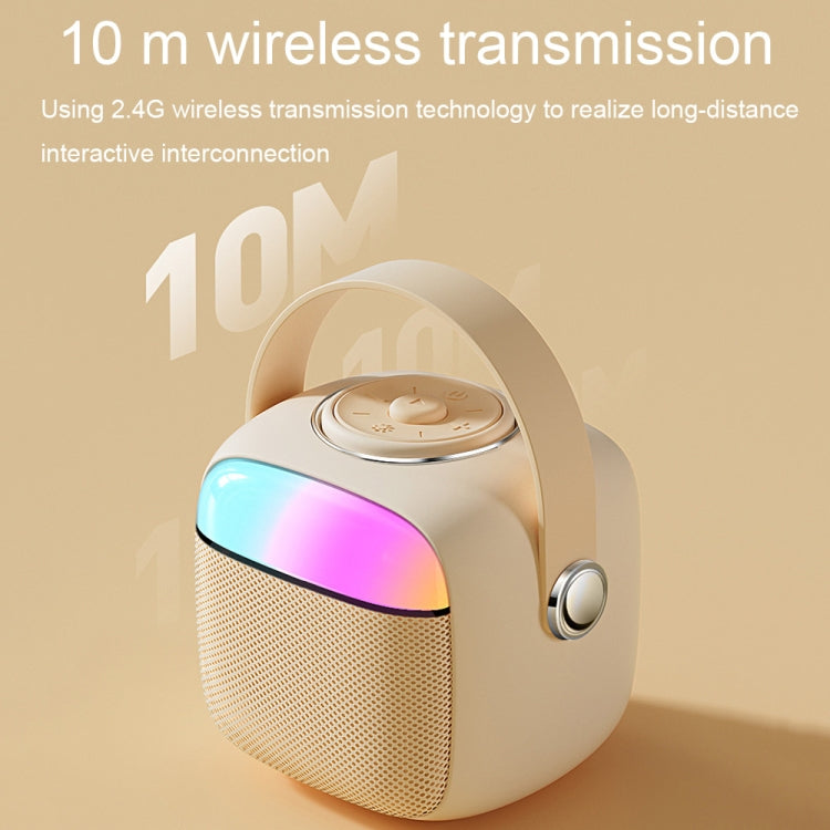 Havit P1 Portable Singing Home Wireless Bluetooth Speaker Microphone Set, Style: Dual-microphone - free shipping - PMC TechLife - Order now!