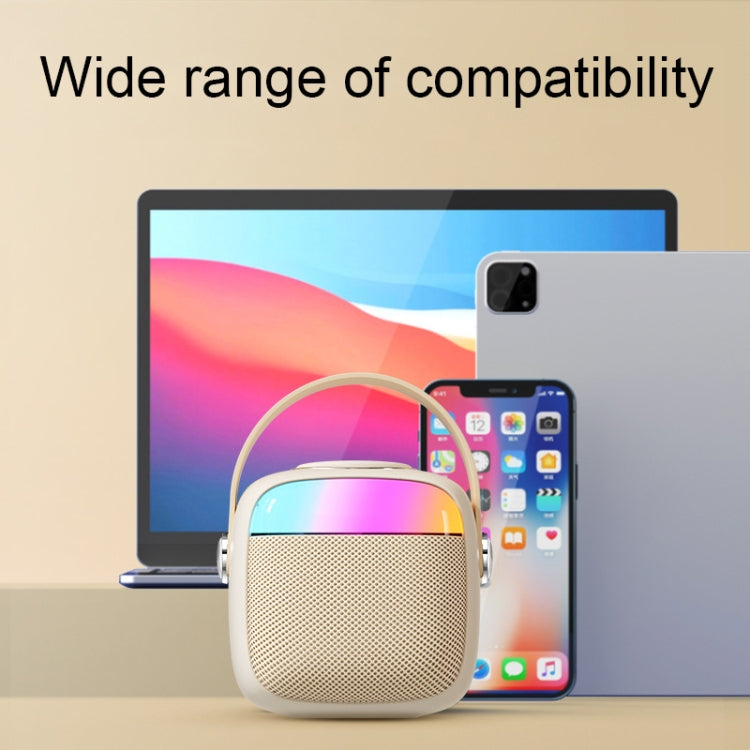 Havit P1 Portable Singing Home Wireless Bluetooth Speaker Microphone Set, Style: Dual-microphone - free shipping - PMC TechLife - Order now!
