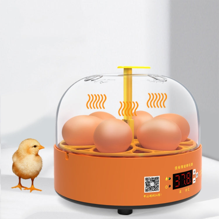 6-Eggs Small Household Experimental Children Smart Chicken Incubators, Spec: Automatic US Plug - Incubators by PMC Jewellery | Online Shopping South Africa | PMC Jewellery