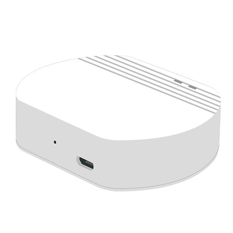 Ewelink Whole House Smart Home ZigBee Wireless Gateway with SONOFF Gateway Devices(EV-WG-2) - Smart Switch by PMC Jewellery | Online Shopping South Africa | PMC Jewellery | Buy Now Pay Later Mobicred