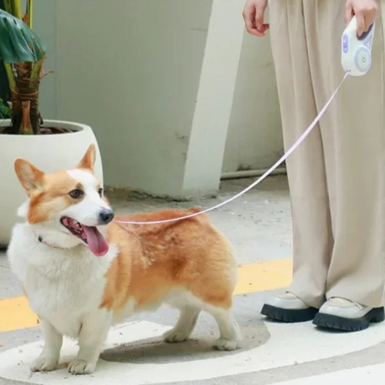 LED Light Luminous Pet Dog Leash Automatic Retractable Dog Walking Leash, Color: 5m Orange - Leashes & Chest Strap by PMC TechLife | Online Shopping South Africa | PMC TechLife | Buy Now Pay Later Mobicred