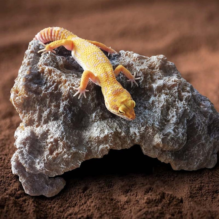 L Reptile Simulation Rocks Hideaway House Turtle Sunbed - Reptile Supplies by PMC TechLife | Online Shopping South Africa | PMC TechLife | Buy Now Pay Later Mobicred