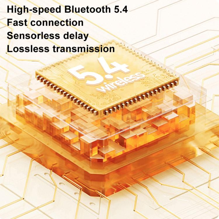 TBD06056207_B7.jpg@8d6682453b7847219dd9bd4832598bd6