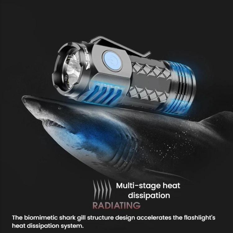 TBD06065654_B2.jpg@53d74909ac1b0379e72ff39d939d9613