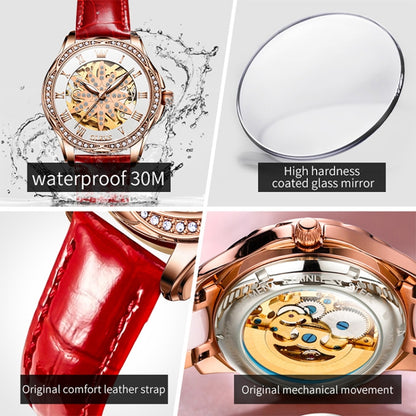 OLEVS 6681 Women Multifunctional Hollow Waterproof Mechanical Watch(White Surface Red Belt) - Leather Strap Watches by OLEVS | Online Shopping South Africa | PMC Jewellery | Buy Now Pay Later Mobicred