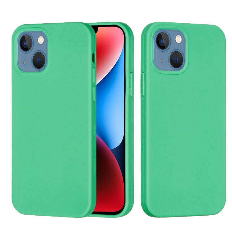 For iPhone 15 Plus Solid Color Silicone Phone Case(Green) - iPhone 15 Plus Cases by PMC Jewellery | Online Shopping South Africa | PMC Jewellery