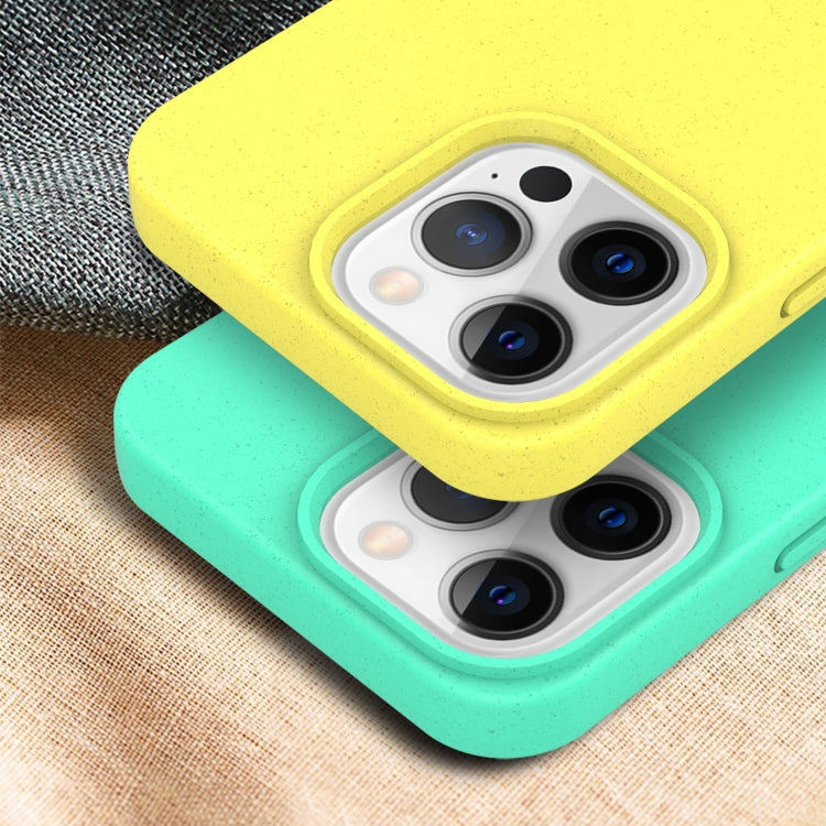 For iPhone 15 Starry Series Shockproof Straw Material + TPU Protective Case(Starlight) - free shipping - PMC TechLife - Order now!
