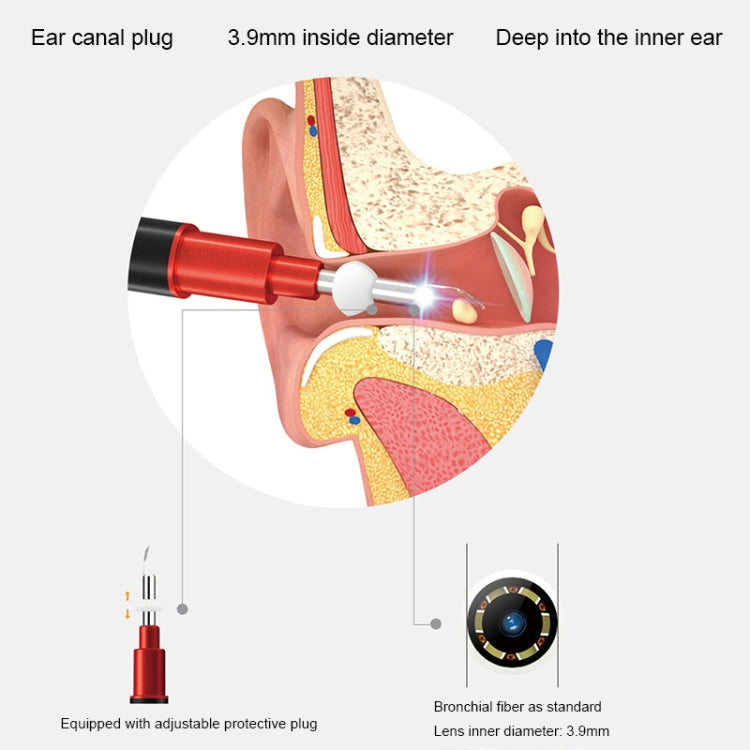 Bebird B1 Intelligent HD Visual Ear Cleaner Earwax Tool, Standard Version(Black) - Ear Care Tools by Bebird | Online Shopping South Africa | PMC Jewellery | Buy Now Pay Later Mobicred