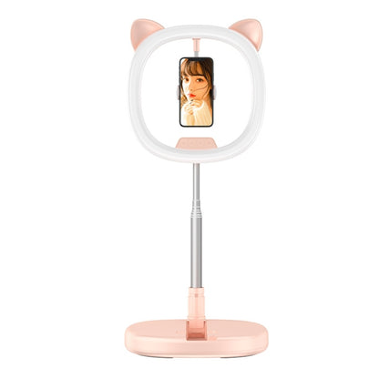 WK WT-P13 Charm Filling Light Live Holder Beauty Eye Care Filling Light (Pink) - Selfie Light by WK | Online Shopping South Africa | PMC Jewellery | Buy Now Pay Later Mobicred