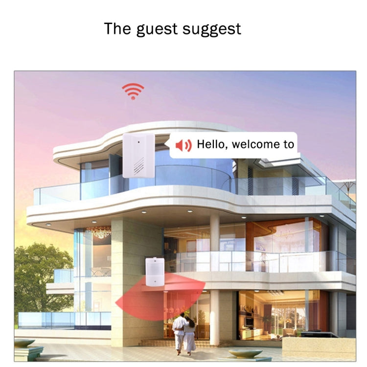 YF-0155 Good Safe Wireless Electro Guard Watch Remote Detective System Kit for Home Office, 1 x Receiver + 1 x  Detector - Sensor Doorbell by PMC TechLife | Online Shopping South Africa | PMC TechLife