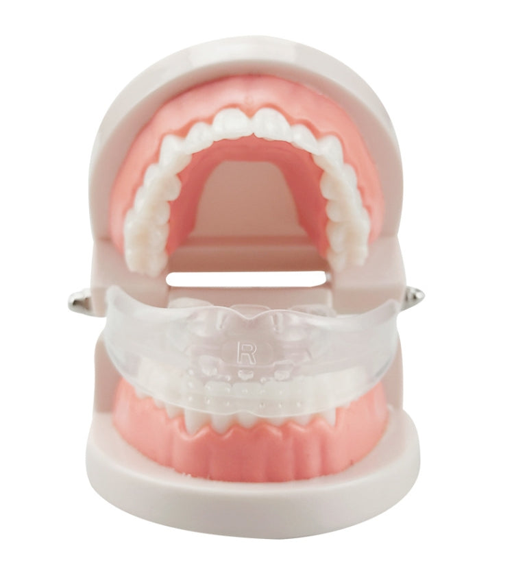 Orthodontic Appliance Silicone Simulation Braces Anti-molar Braces for Night(The third stage) - Dental Tools by PMC Jewellery | Online Shopping South Africa | PMC Jewellery