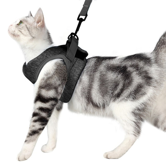 Cat Leash Pet Chest Harness Leash, Size: L(Grey) - Leashes by PMC Jewellery | Online Shopping South Africa | PMC Jewellery