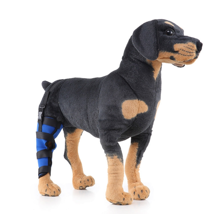 HJ19 Pet Surgery Rehabilitation Back Leg Protector Walking Aids, Size: M(Blue Right Back Leg) - Pet Care by PMC Jewellery | Online Shopping South Africa | PMC Jewellery
