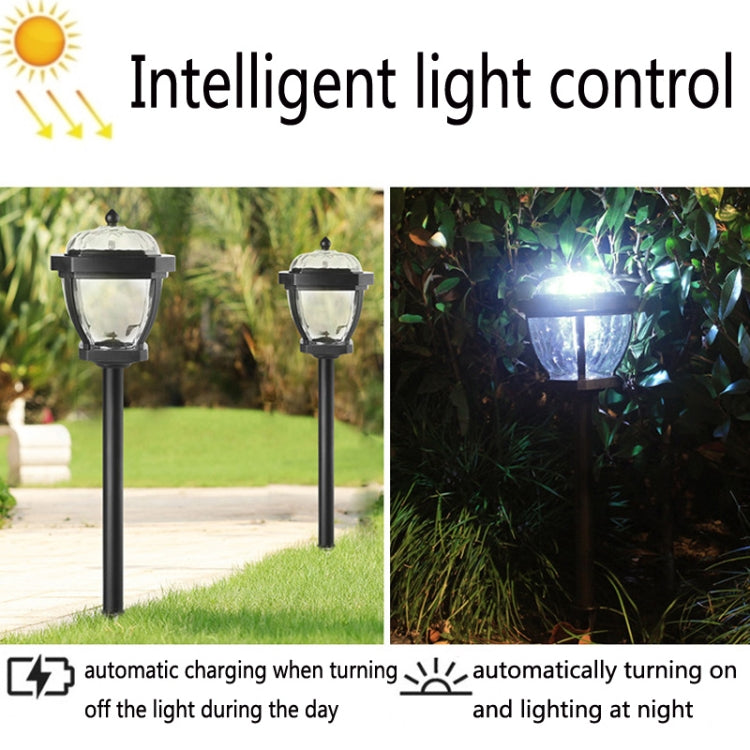 2 LED Solar Waterproof Outdoor Garden Light, Style: White Light-Lawn Lamp - With Solar Panel by PMC Jewellery | Online Shopping South Africa | PMC Jewellery